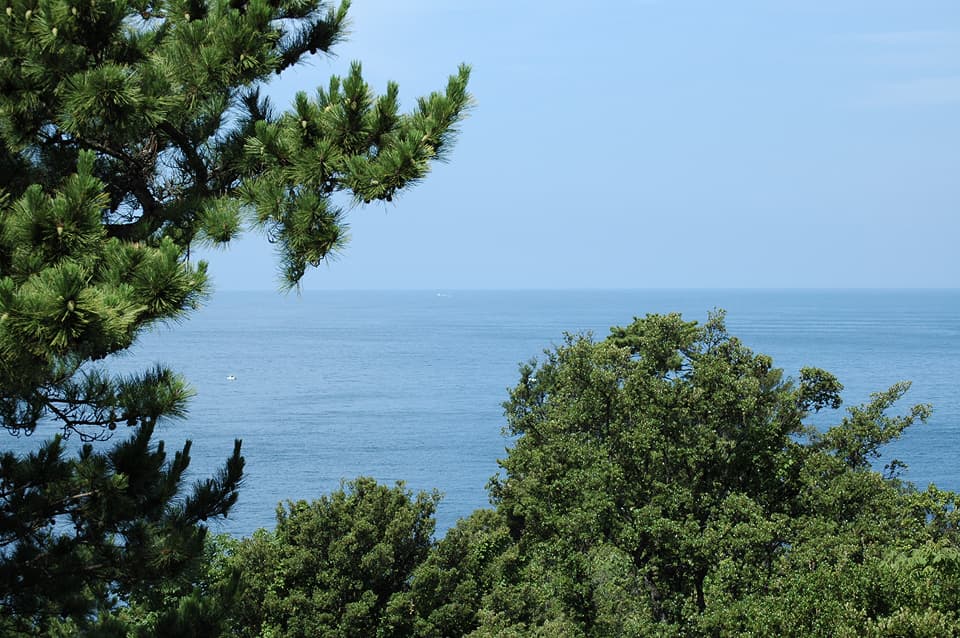 鋳波島ビジュアル