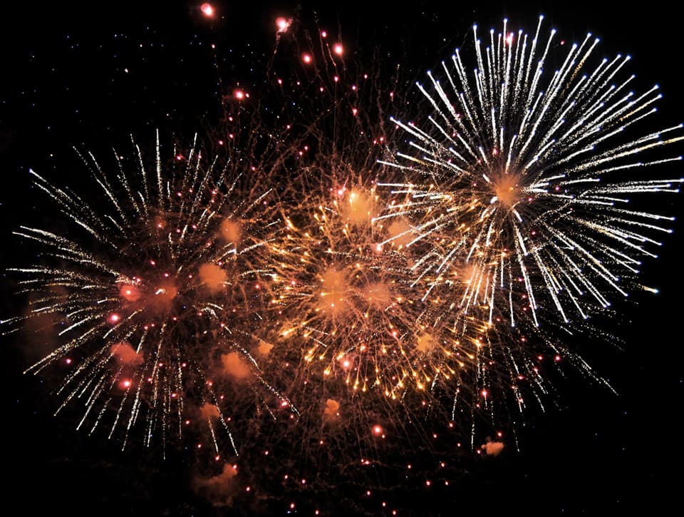 鋳波島の夏の魅力ビジュアル